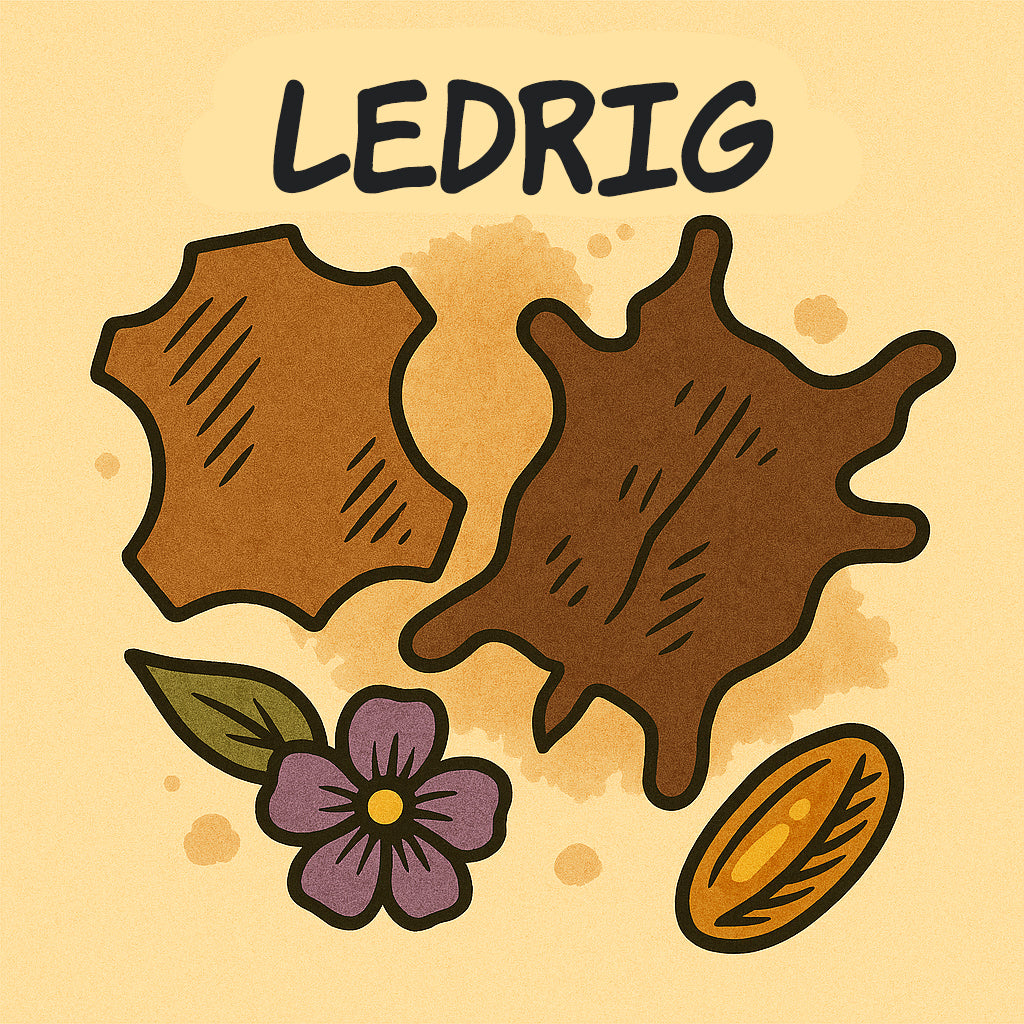 Ledrig