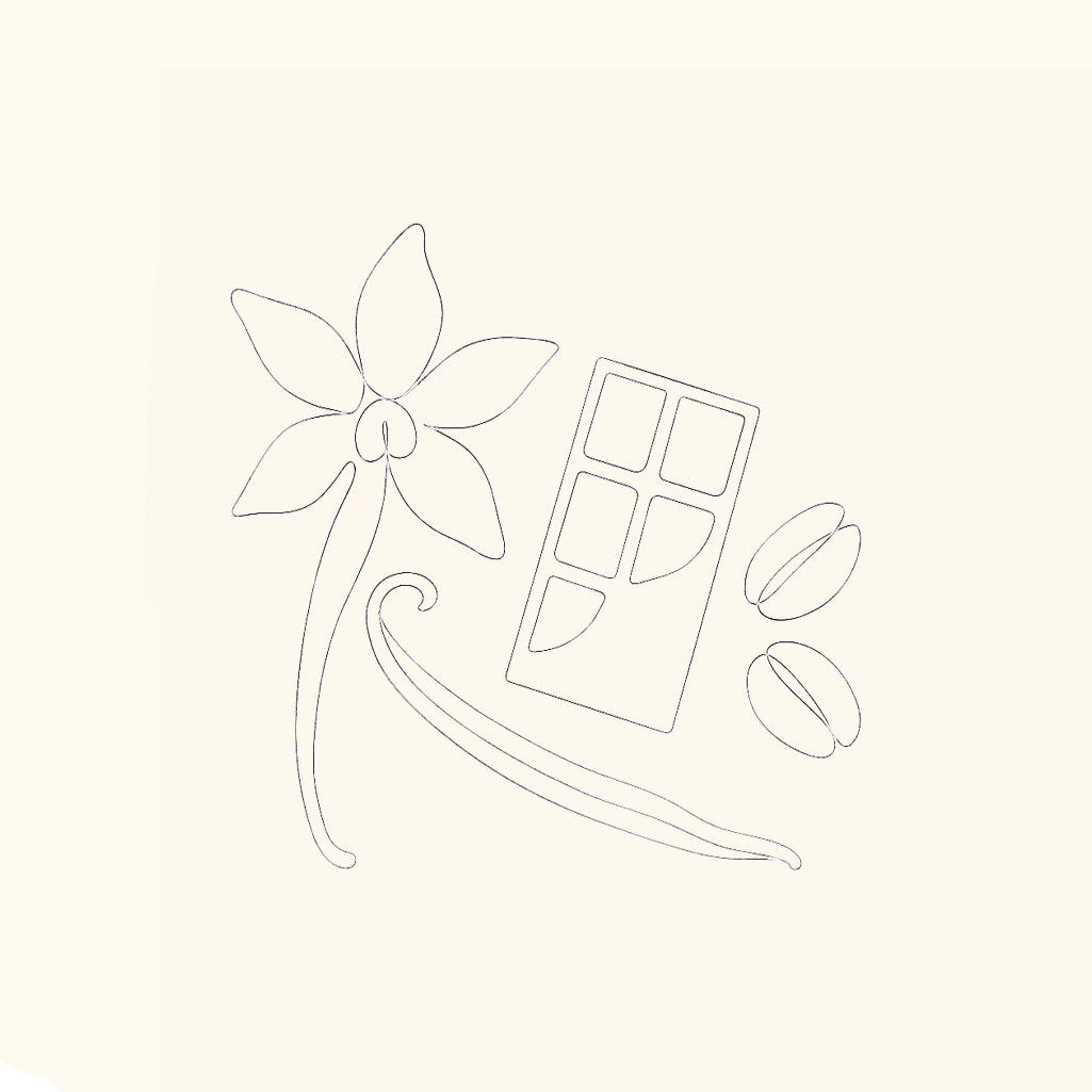 Gourmand Duftproben – Vanille, Schololade und Tonkabohne vor warmem, cremigem Hintergrund